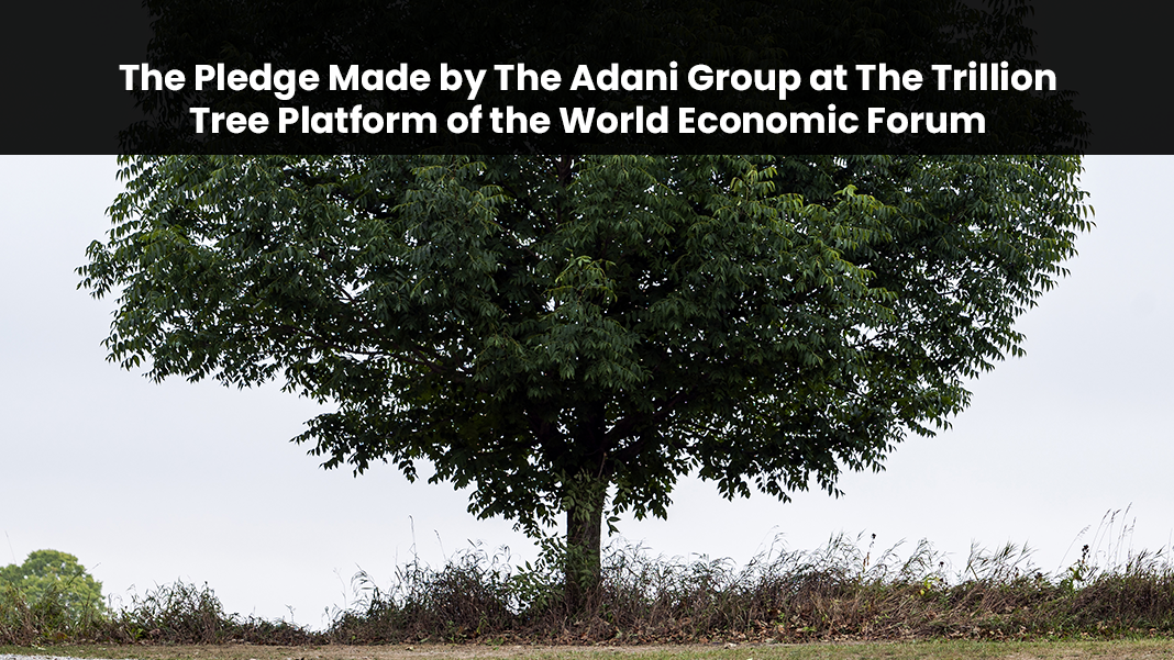 The Pledge Made by The Adani Group at The Trillion Tree Platform of the World Economic Forum